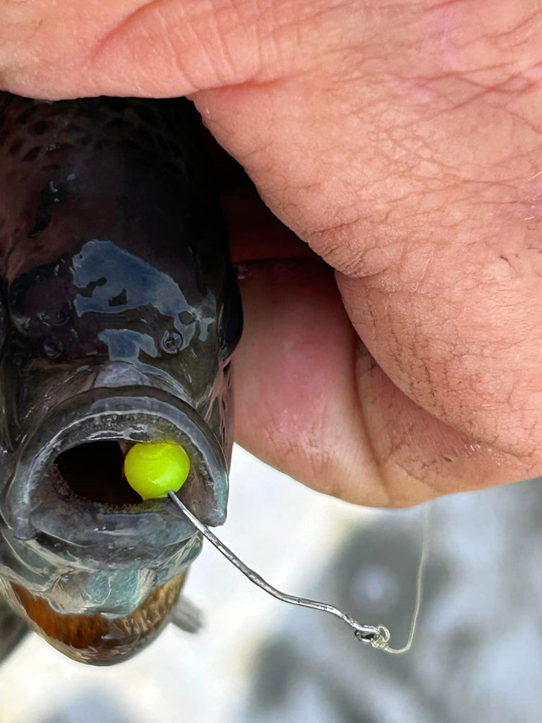 EZ Drift Bait Pen Combo with REACTION Bait Balls – EZ Drift Trolling Systems